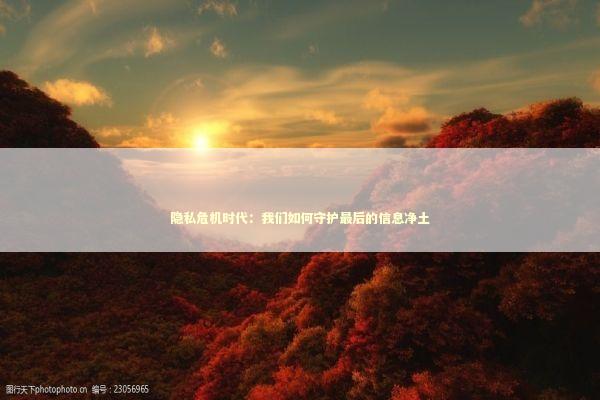 隐私危机时代：我们如何守护最后的信息净土 IT技术