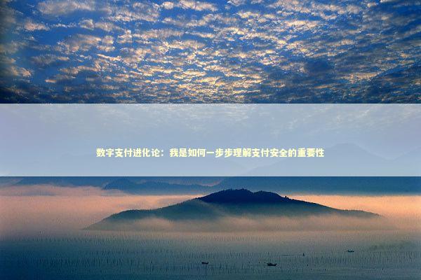 数字支付进化论：我是如何一步步理解支付安全的重要性 新闻